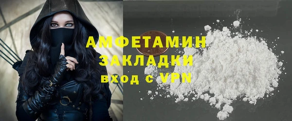 твердый Арсеньев