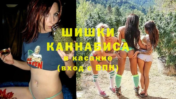 spice Аркадак