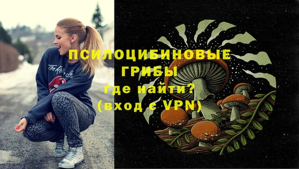 твердый Арсеньев