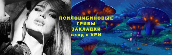 твердый Арсеньев