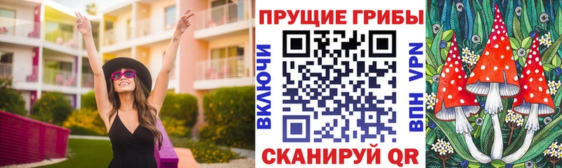 Галлюциногенные грибы Psilocybine cubensis  Асино 